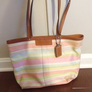 Colorful Coach Bag